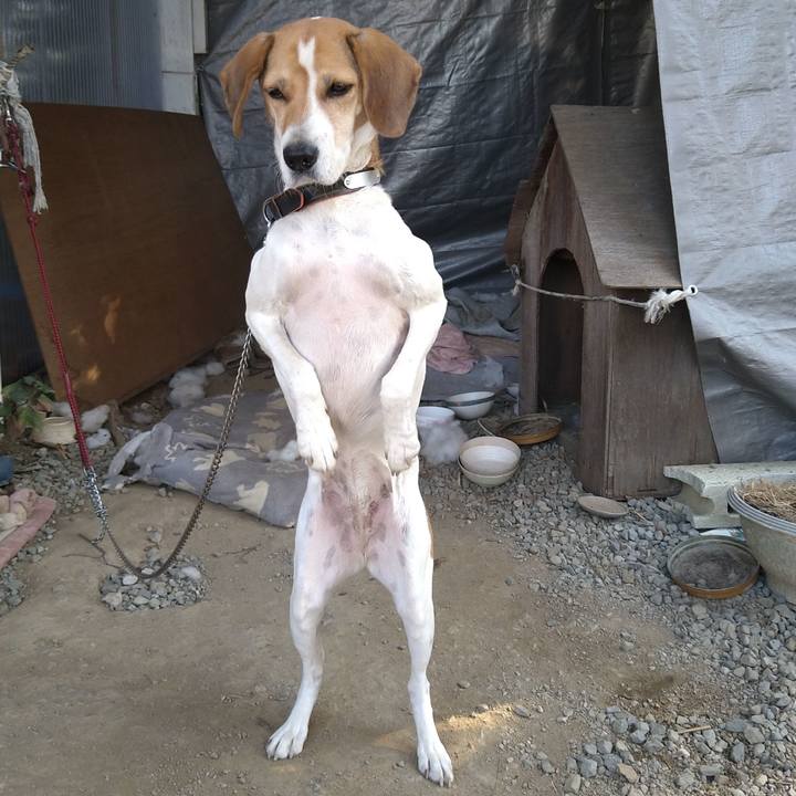 9b14bce3 b110 4566 8680 292d256b0138 1635566407495