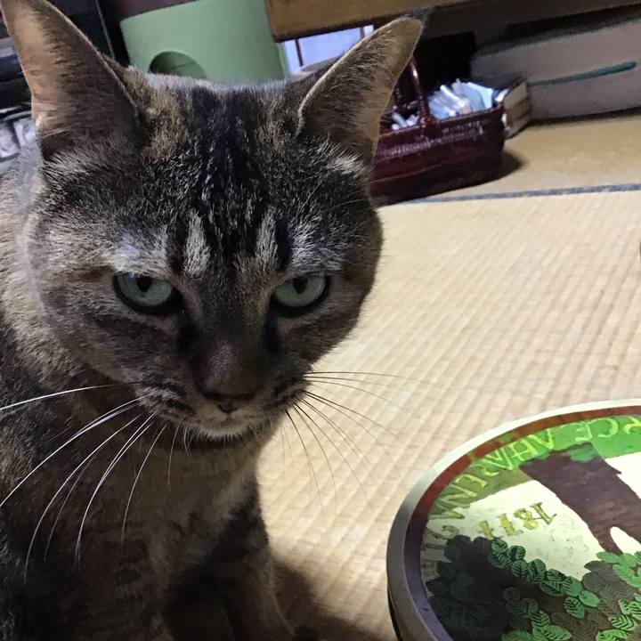 9b14d11c 7f91 4a94 ae12 4aa7ea86eeaf 1760412583270