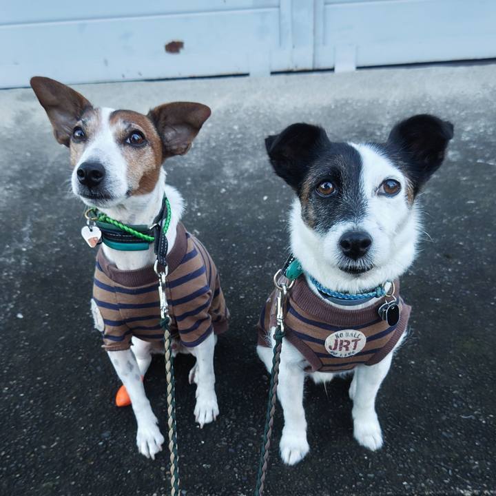 9b154963 2486 421d 8e22 98f3c9b1bf78 1762725686382