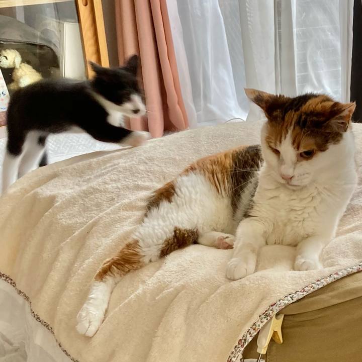 9b156649 df0a 4689 8a10 de61bb91d7ff 1606213481060