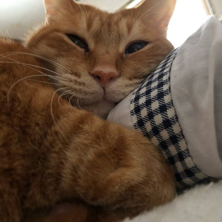 9b1578f7 8b9e 40ea 9e64 760623c96bba 1608336734274