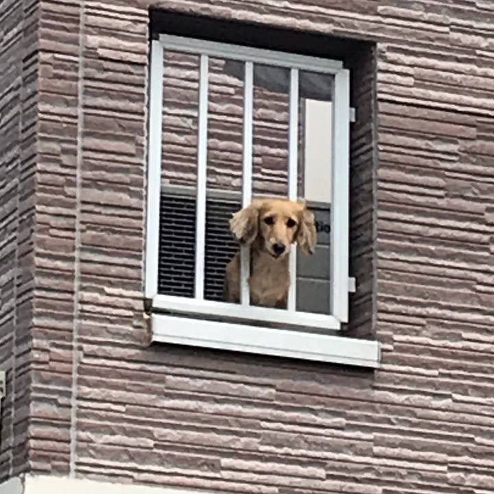 9b15c4fa 9eaa 4e48 a181 33e174bc412b 1557272023729