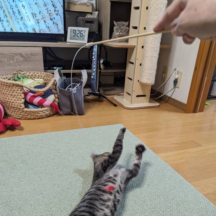 9b15d3e9 a06d 4d09 a378 fda5102f6533 1708054377067