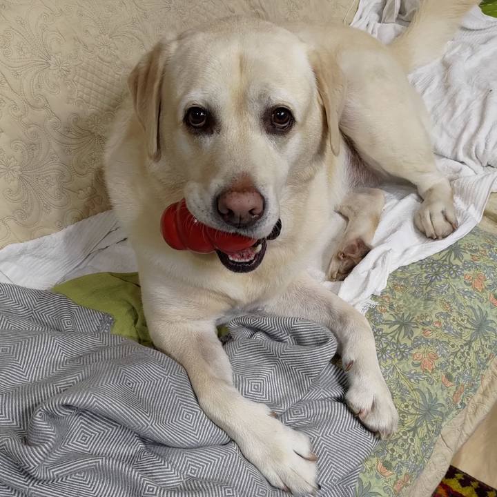 9b15e1aa 4e25 485f 943e 56da294c8e16 1696767112936