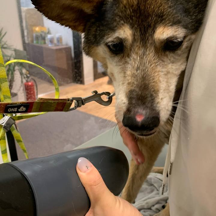 9b1605be 7657 44f0 ae81 60639f7b5280 1572860779946