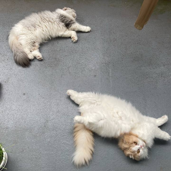 9b1605c1 4297 4ad5 942c c9923899a5b7 1659830243198