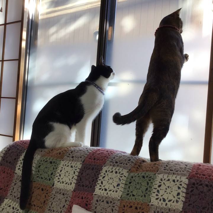 9b161bef e3a3 4f62 a8bd a7944877c1fc 1642037157249