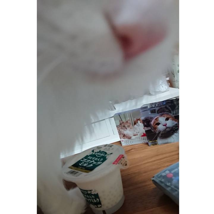 9b161c1b 5926 4143 a9a8 cebd85abf233 1589026011617