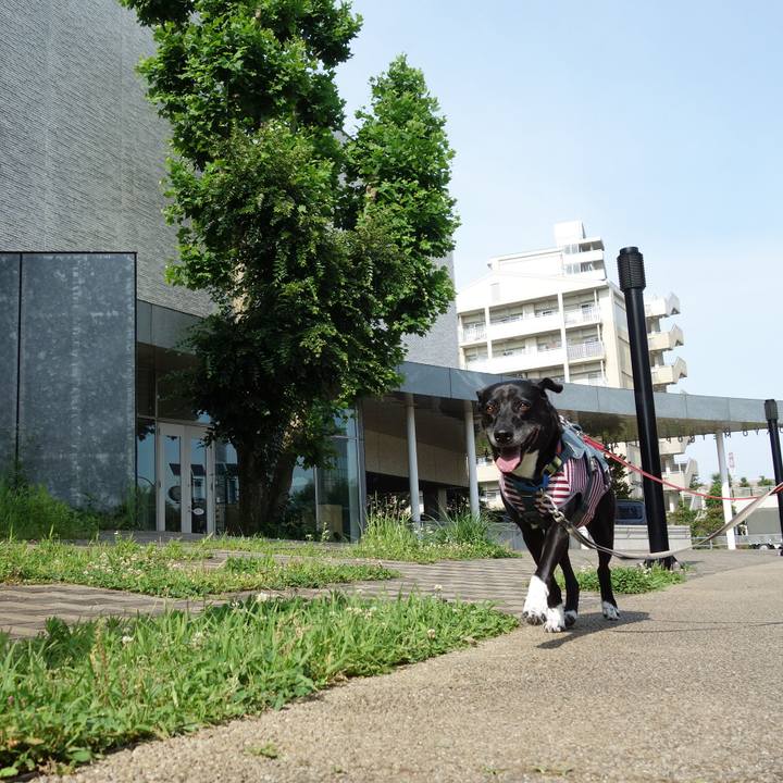 9b164568 3713 4551 8888 4d2eedfaecbf 1718843618870