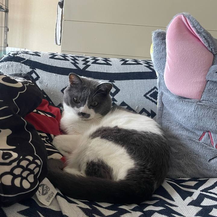 9b16a8a5 6e7f 4a18 a9b4 a7cac6b96a96 1690095412578