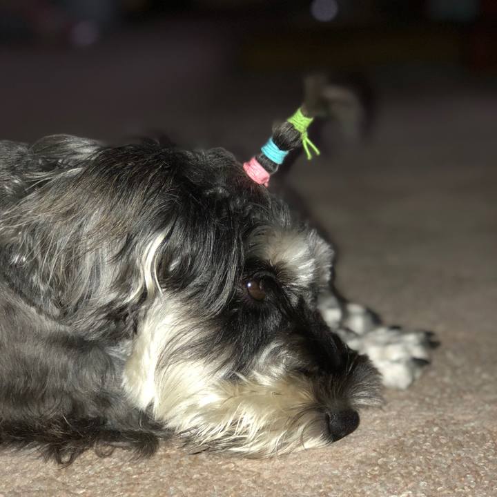 9b16ae78 8006 42c8 a422 75d98fc97ebe 1538886934663