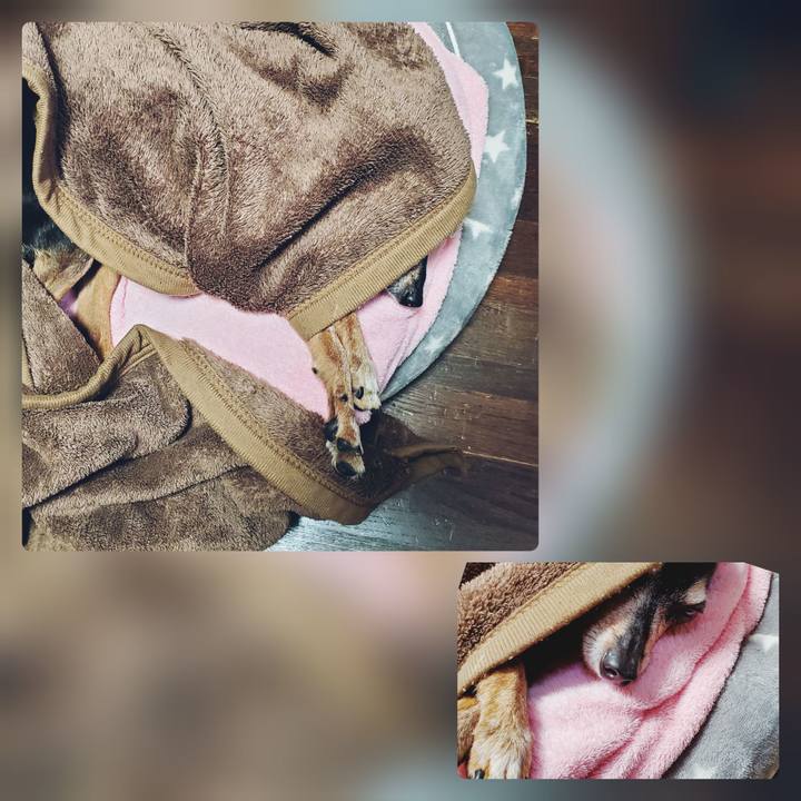 9b16b57a 6fe5 4285 84d4 2488d41f04cf 1682247807743