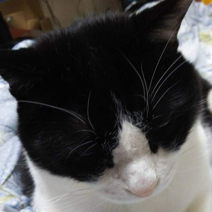 9b16c85f 5690 49db ba23 dd9bb30998e4 1544997077775