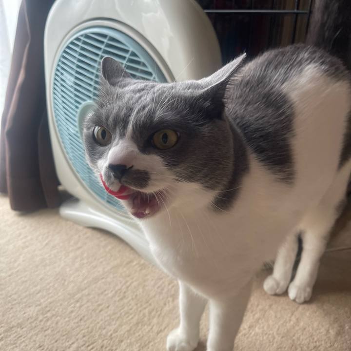 9b16ee46 6e39 4bda a3ba da5a375bb53a 1702253425597