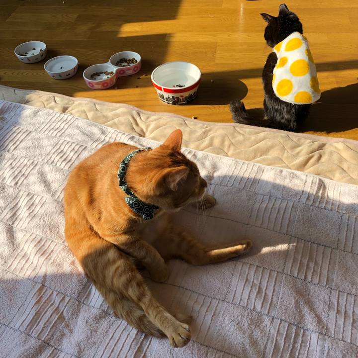 9b17114d 0702 4076 a615 fa5736cf3075 1557956699556