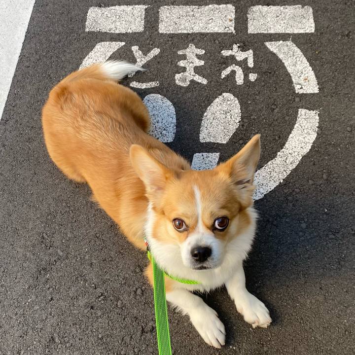 9b173349 4a3a 4adf 910c 8388dc0d17cf 1635994019136