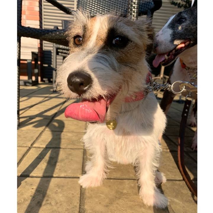 9b17ab54 936e 41ea a8a2 be96fe8cfe80 1595159242078