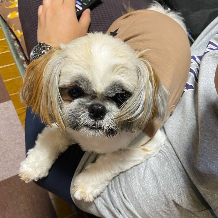 9b17e553 734f 4486 84ee 536f4d3296b6 1648742757006