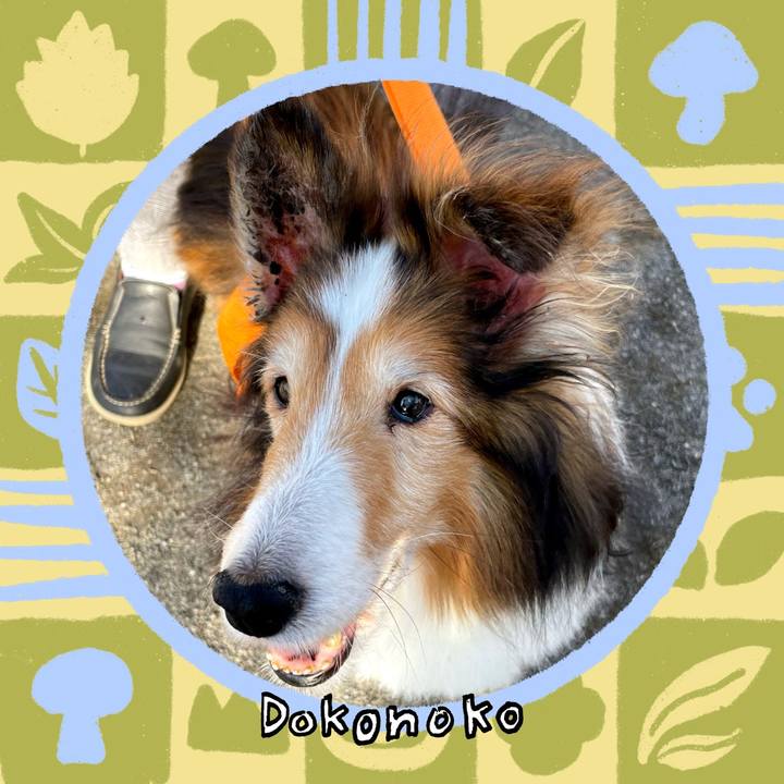 9b17fb0d 04cf 4af6 8148 48ea9a9d18f9 1761386958518