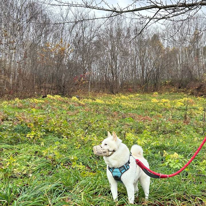 9b180318 b57a 48bc a12c 1588323170ab 1731276351539