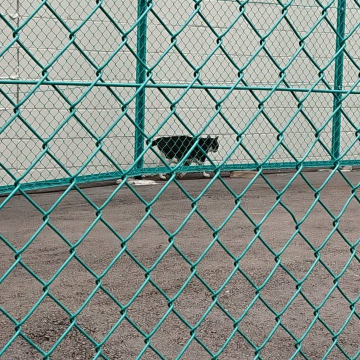 9b181d78 931f 4e47 81a5 fa2a1d59eb6a 1624675893772