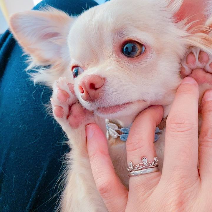 9b1826cb ad0f 4c0c a11d 201ecc8da925 1613861484467