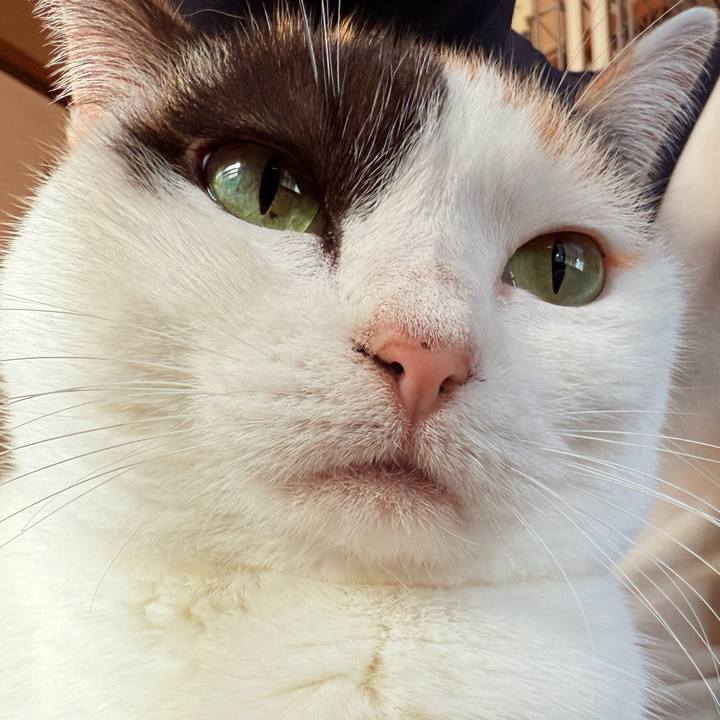 9b184721 d42f 4ff1 9121 fb75c6f06be1 1734398356988