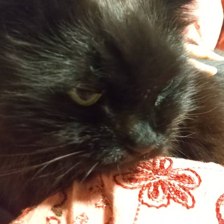 9b18489d dfa9 40ff b357 1915396d3c7b 1653218049568