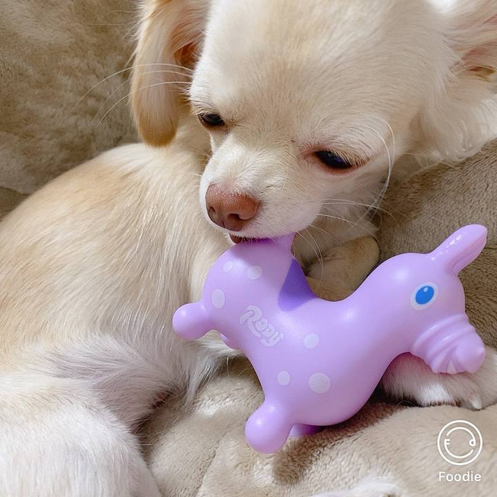 9b184cdd b068 4c83 a655 9fb2114789fa 1605132201315