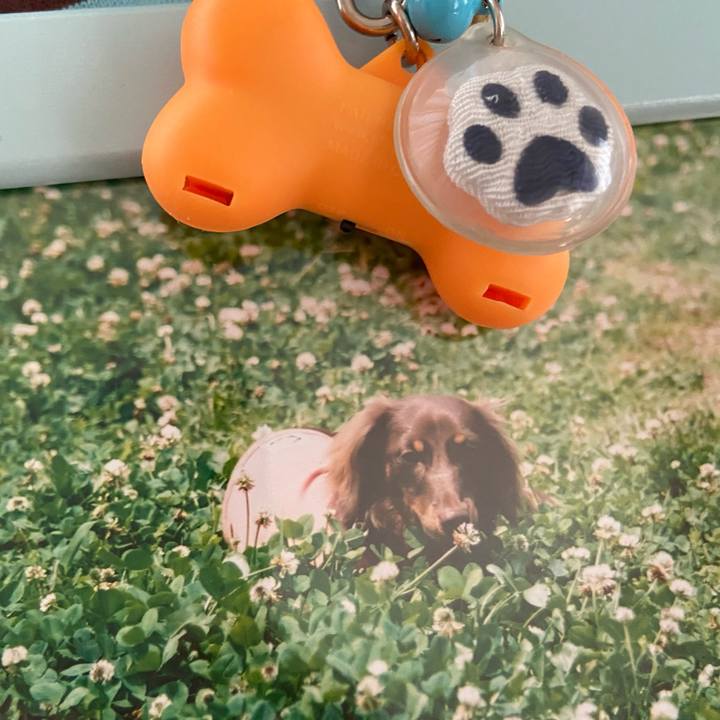 9b186de7 e5e9 4907 9045 1abfc3d89f31 1697769245563