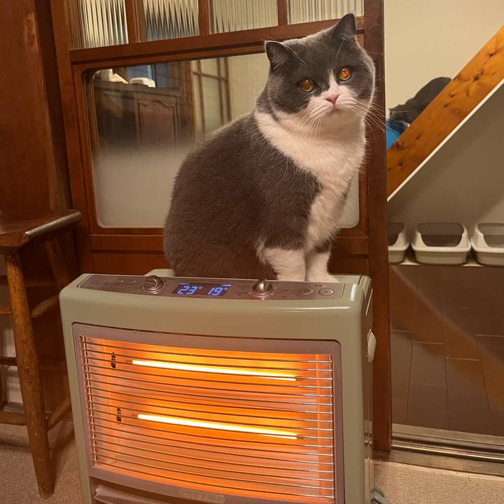 9b18a89a f80d 42fe 9872 d6416684ec40 1640257990313