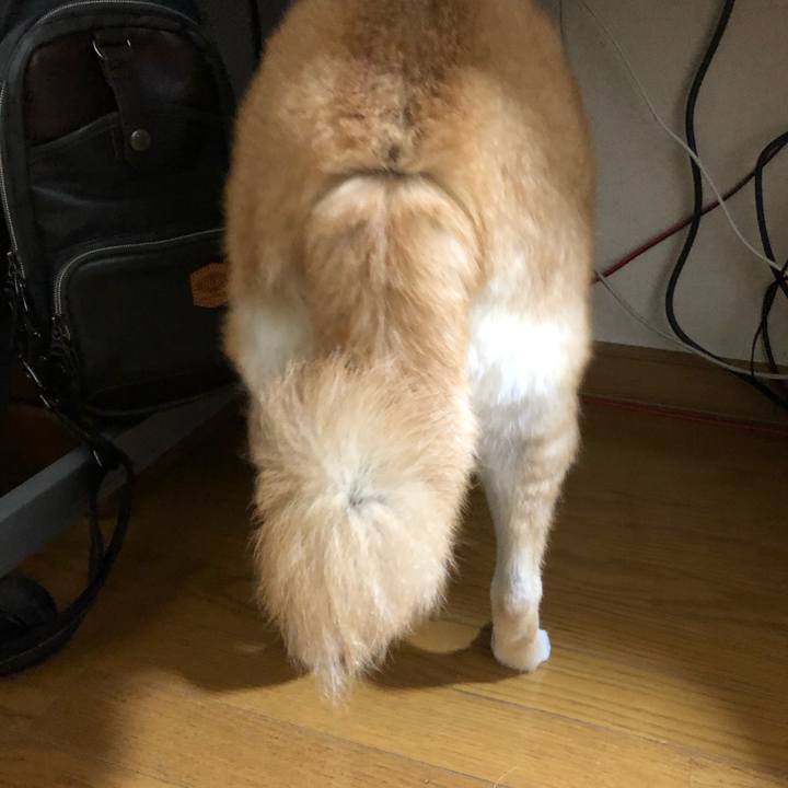 9b18c5f8 251d 4e8c 9c50 eeeb801e452e 1599350079928