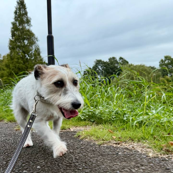 9b18d68f 7b34 4215 a4b4 785a7d9c6939 1760877840990