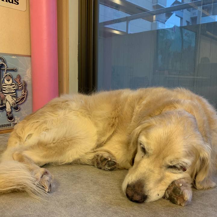 9b1907c7 02ca 4eb0 a4be debafaaa3e6b 1552951113104