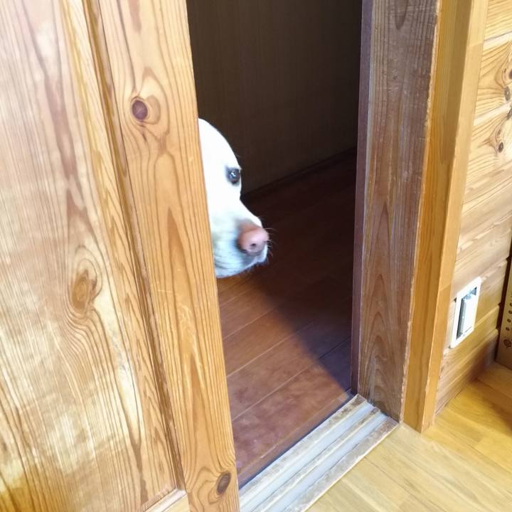 9b19431e 6756 432e add7 049287e1b024 1589180052057