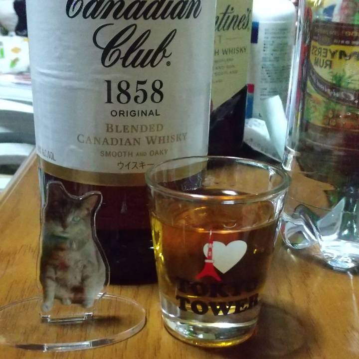 9b19877b 0eb0 465f 87a0 e78fe32ecc90 1741868892405