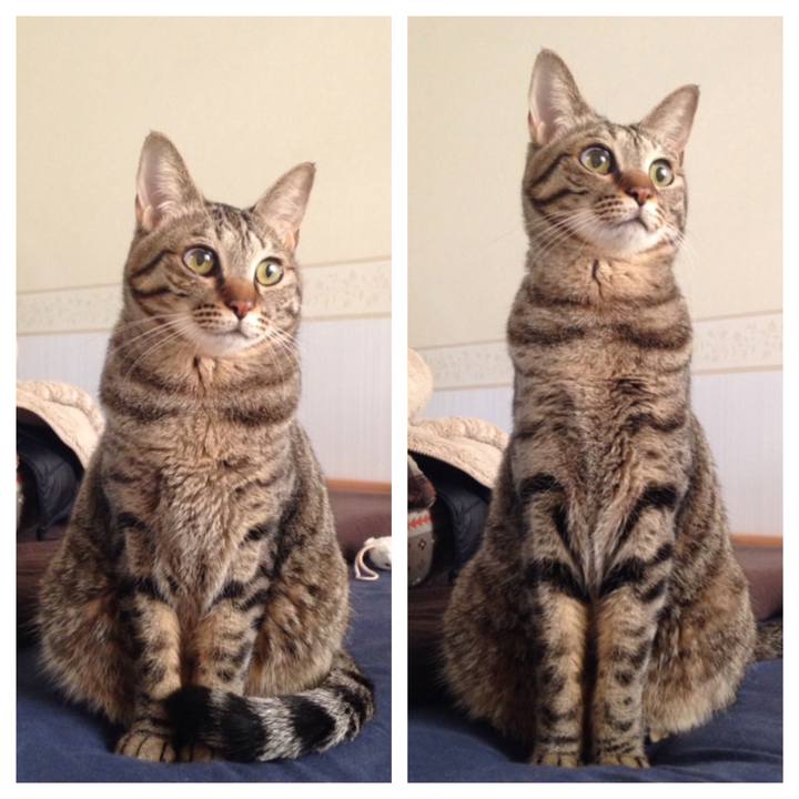 9b199926 48fe 47c6 86ee 858f05cbc0b7 1512822271151