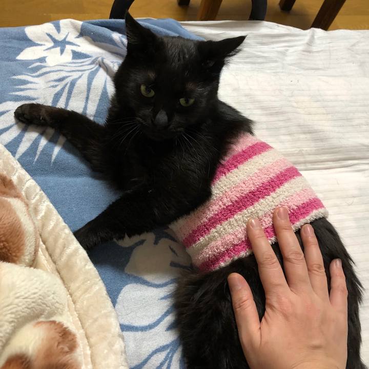 9b19b2e1 50c8 4f73 9ea3 25cd965270d2 1582730541520