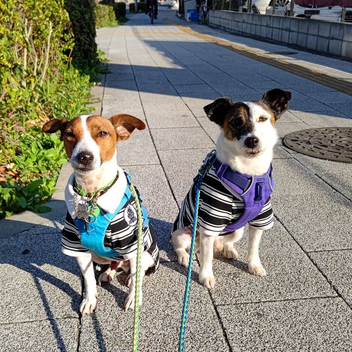 9b19c593 163c 4a2c ad04 14bd5367bd4a 1648852667738