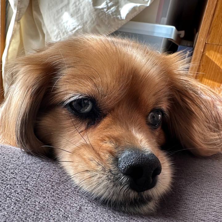 9b19fd9f c2c4 432d 9e15 08d25b568493 1679186903059