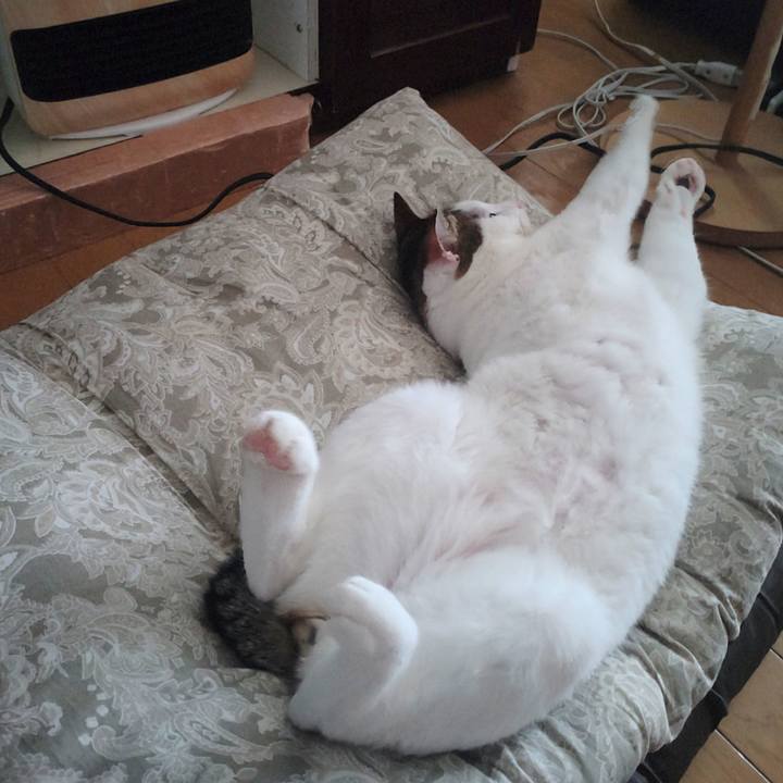 9b1a3fbc 06f5 4381 bafe 91ecf1c72115 1726811838586