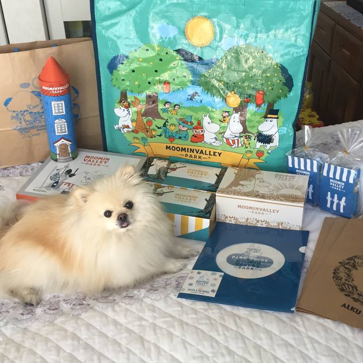 9b1a7bfa ea41 4ad7 9812 34e1a77c3c42 1552778186569