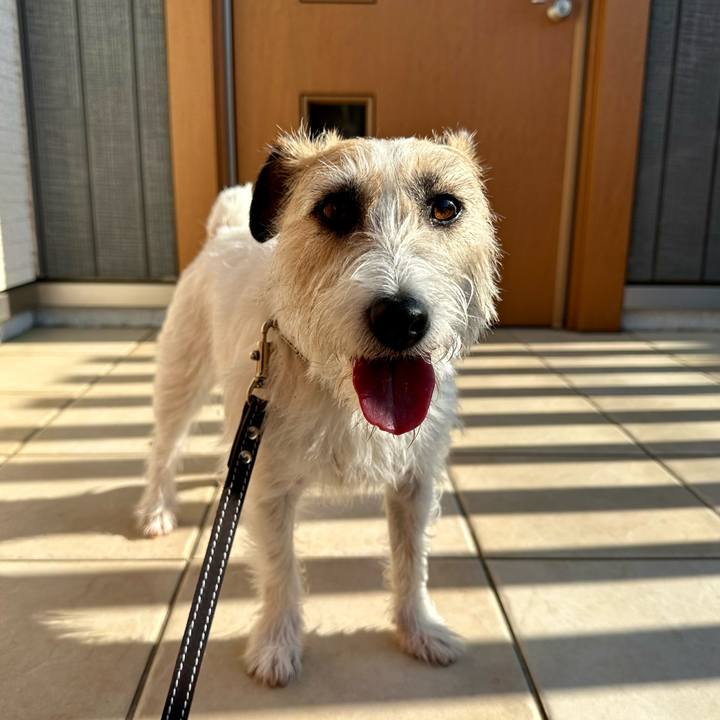 9b1a9555 8583 4240 b631 8aa6be956ad5 1745959807007