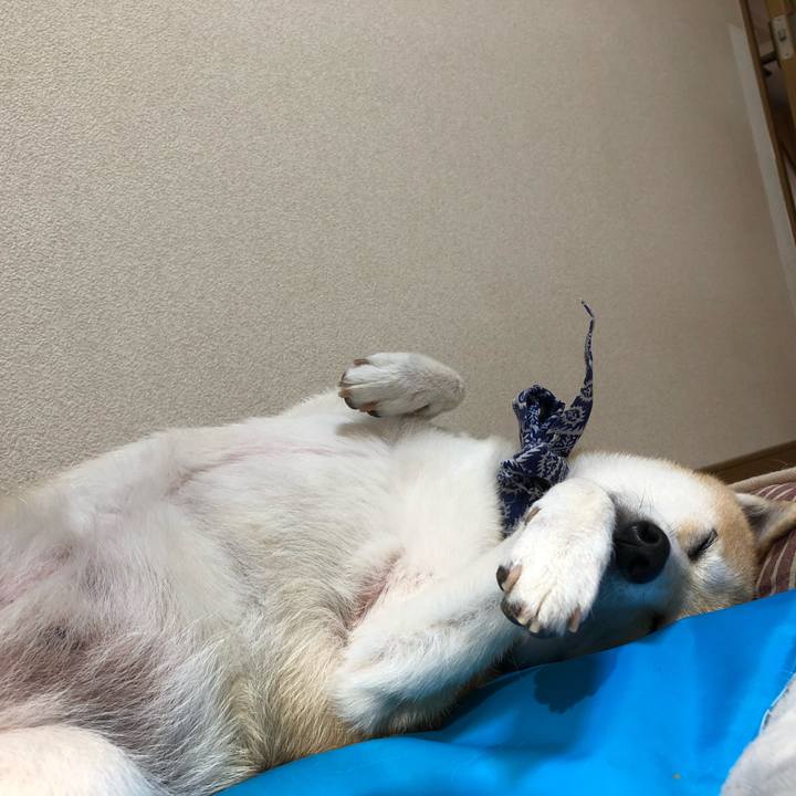 9b1a9c18 8815 43e7 91a3 23ad4d454ea8 1598357365070