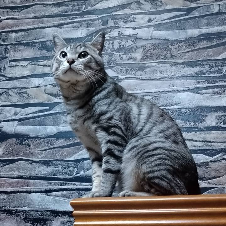 9b1aa411 c213 4a2a 910b d3ecd019ed71 1655036820002