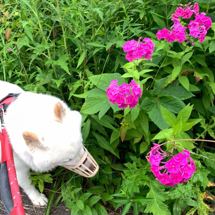 9b1aa61d fda1 461d 9e06 7eaaa07f0a31 1658782665714