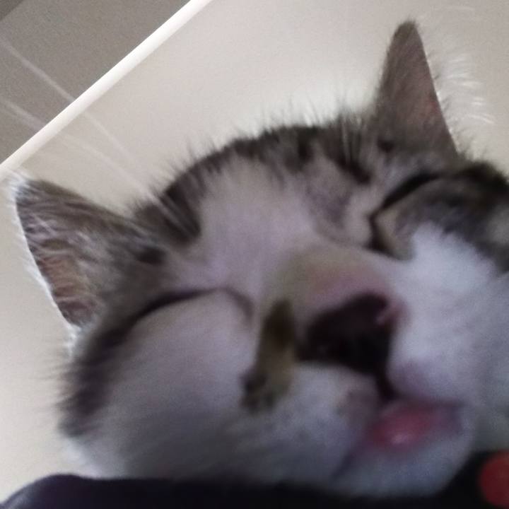 9b1adaf9 3089 4968 afc7 d027c480f619 1614946894369