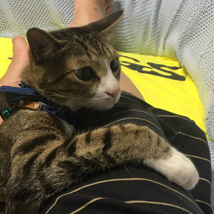 9b1adb24 f657 463e 9c3b 548999411df2 1683345412172