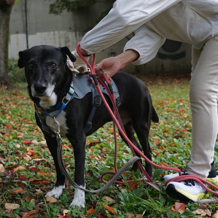 9b1ae09c 3905 468d bf2f 7e6f4b8b2ee9 1762822352787