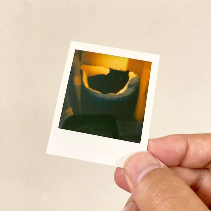 9b1aff8c 5127 4e36 8657 80e39f94ff9b 1621785205835